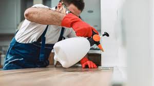 Best Residential Pest Control  in Spanish Fork, UT